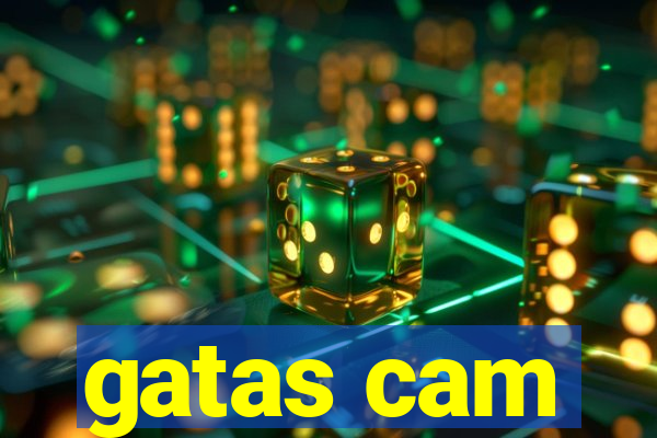 gatas cam